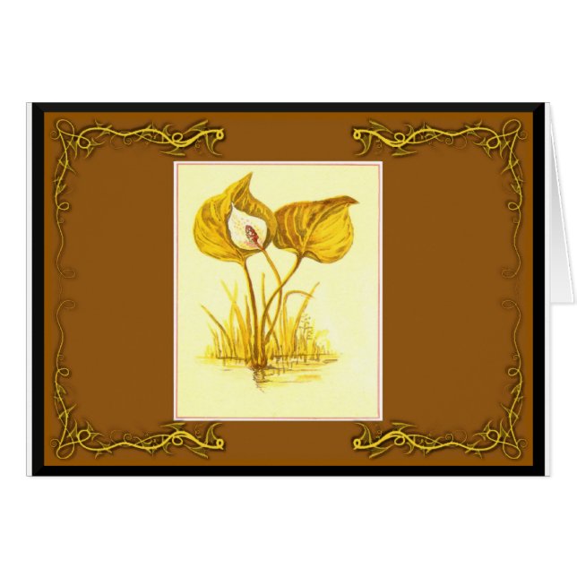 水生植物 (正面横)