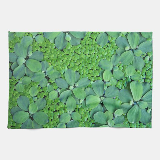 水生植物 キッチンタオル (横)