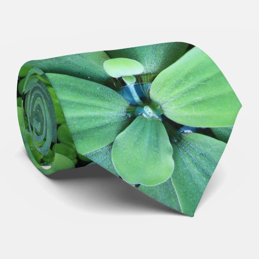 水生植物 ネクタイ (ロール)