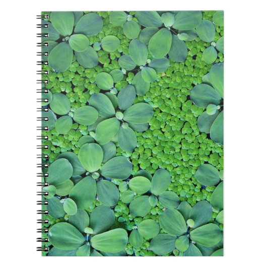 水生植物 ノートブック (正面)