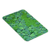 水生植物 マグネット (右側)