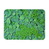 水生植物 マグネット (横)
