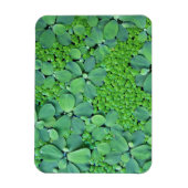 水生植物 マグネット (縦)