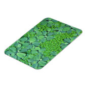 水生植物 マグネット (左側)