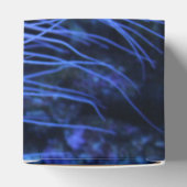 水生生命魚の熱帯楽園の運命 フェイバーボックス (上部)