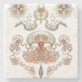 水生生命~のHaeckelの~のくらげ ストーンコースター