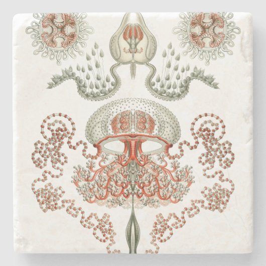 水生生命~のHaeckelの~のくらげ ストーンコースター (正面)