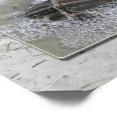 水生生物トリプチチ ポスター (角)