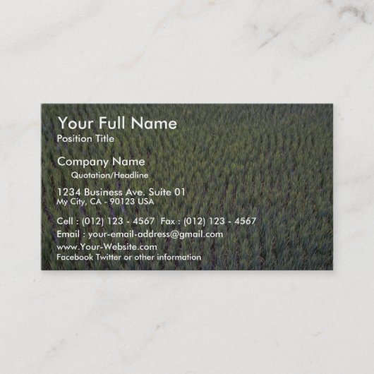 水田、インドネシア 名刺 (正面)