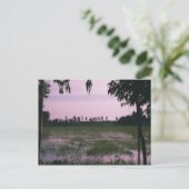 水田 ポストカード (スタンド正面)