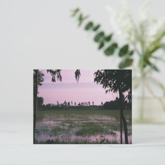 水田 ポストカード (スタンド正面)