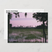 水田 ポストカード (正面/裏面)
