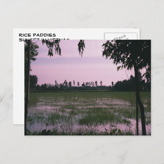 水田 ポストカード (正面/裏面)