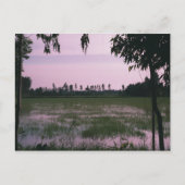 水田 ポストカード (正面)