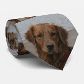 水男の子-ゴールデン・リトリーバー ネクタイ (ロール)