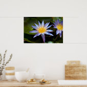 水百合ポスター ポスター (キッチン)