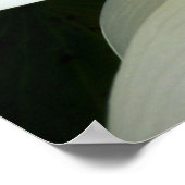 水百合ポスター ポスター (角)