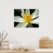 水百合ポスター ポスター (キッチン)