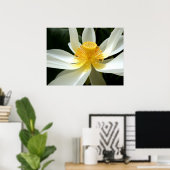 水百合ポスター ポスター (ホームオフィス)