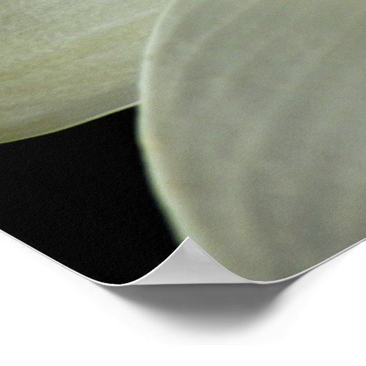 水百合ポスター ポスター (角)