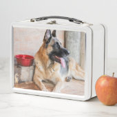 水盤で休んでいるドイツのシパード メタルランチボックス (インサイチュ)