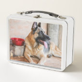 水盤で休んでいるドイツのシパード メタルランチボックス (正面)