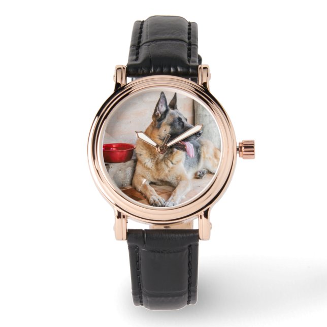 水盤で休んでいるドイツのシパード 腕時計 (正面)