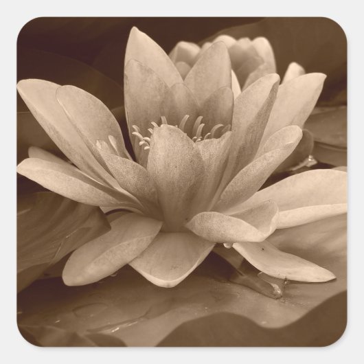 水着ステッカー スクエアシール (正面)