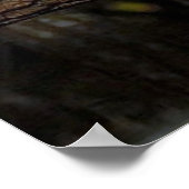 水着ポスター ポスター (角)