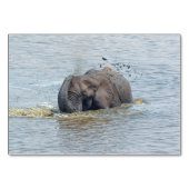 水着象 テーブルナンバー (正面)