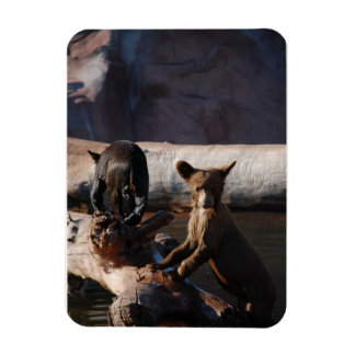 水磁石にクマの子牛 マグネット