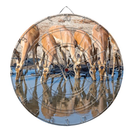 水穴にインパラス ダーツボード (正面)