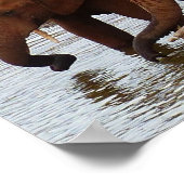 水穴にゾウの群れ ポスター (角)