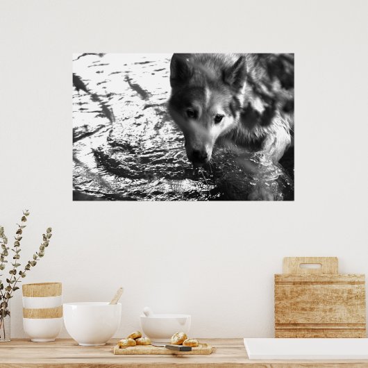 水穴 ポスター (キッチン)