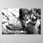 水穴 ポスター (正面)