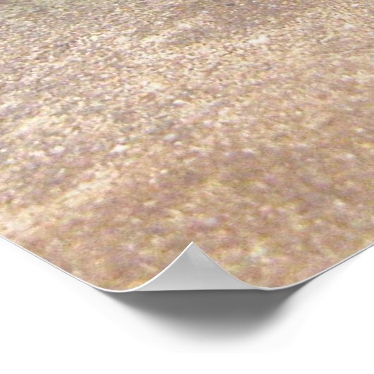 水竜 ポスター (角)