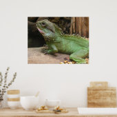 水竜 ポスター (キッチン)