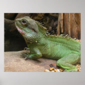 水竜 ポスター (正面)