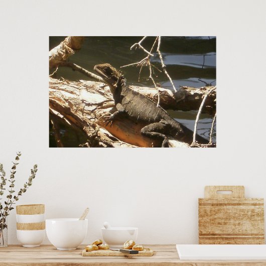 水竜 ポスター (キッチン)