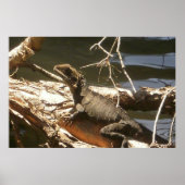 水竜 ポスター (正面)