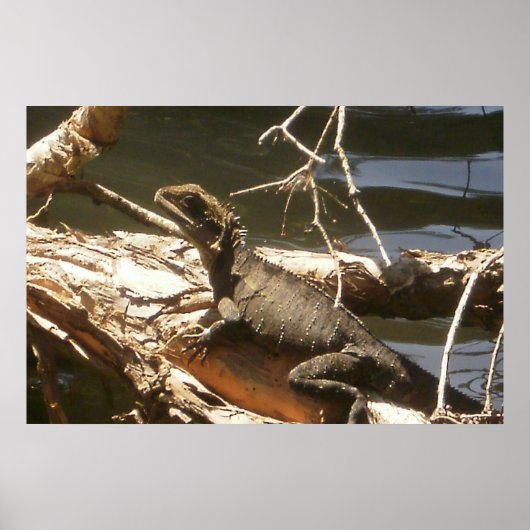 水竜 ポスター (正面)