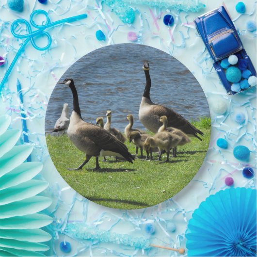 水紙皿による草のカナダのガチョウ ペーパープレート (パーティー)