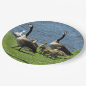 水紙皿による草のカナダのガチョウ ペーパープレート (アングル)
