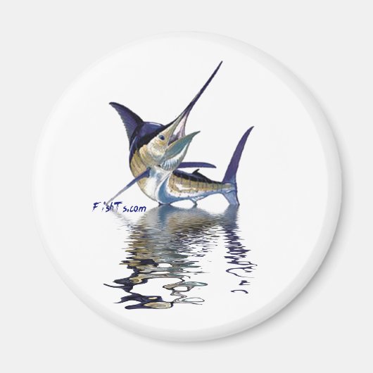 水素晴らしに反射するマーリン マグネット (正面)