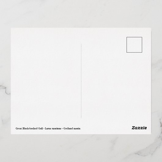 水素晴らしに黒い背中のカモメ 箔シーズンポストカード (裏面)
