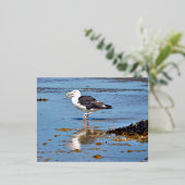 水素晴らしに黒い背中のカモメ 箔シーズンポストカード (立ち正面)