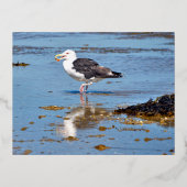 水素晴らしに黒い背中のカモメ 箔シーズンポストカード (正面)