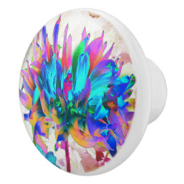 水素晴らし色レインボーカボスダリア セラミックノブ