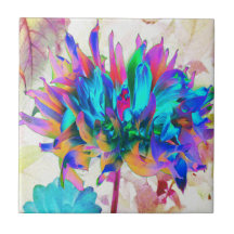 水素晴らし色レインボーカボスダリア