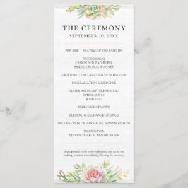 水素朴色の多肉性の砂漠のサボテン結婚ズ プログラム